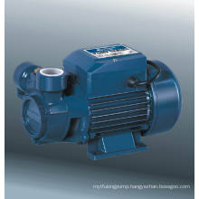 Vortex Pump (DQm60-1)